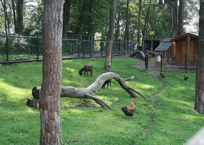 Europarcs Brunssummerheide פארק נופש ברונסום