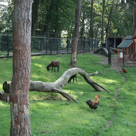 Europarcs Brunssummerheide Semesterpark Brunssum